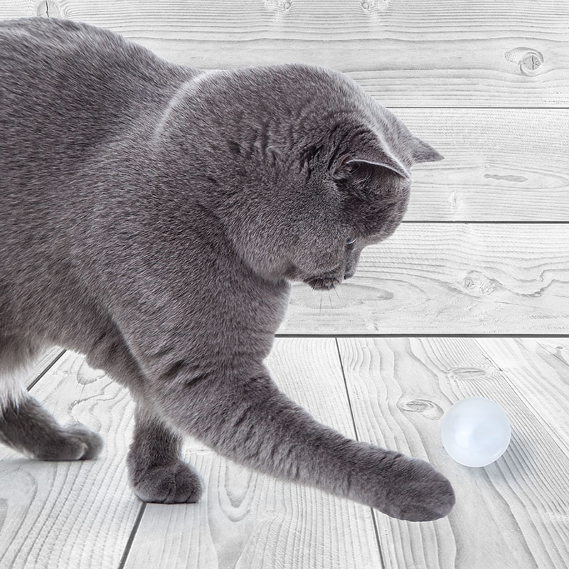 Catlove toy led ball hunting